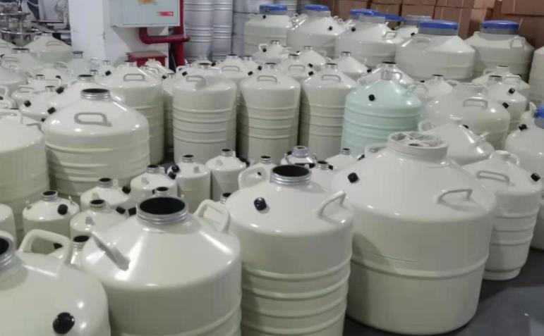 儲(chǔ)存型液氮罐 儲(chǔ)存型液氮罐